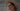Havana Grey Striated Tortoise Sunglasses
