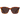 DARINE-Golden Daze Tortoise / Drift Polarized